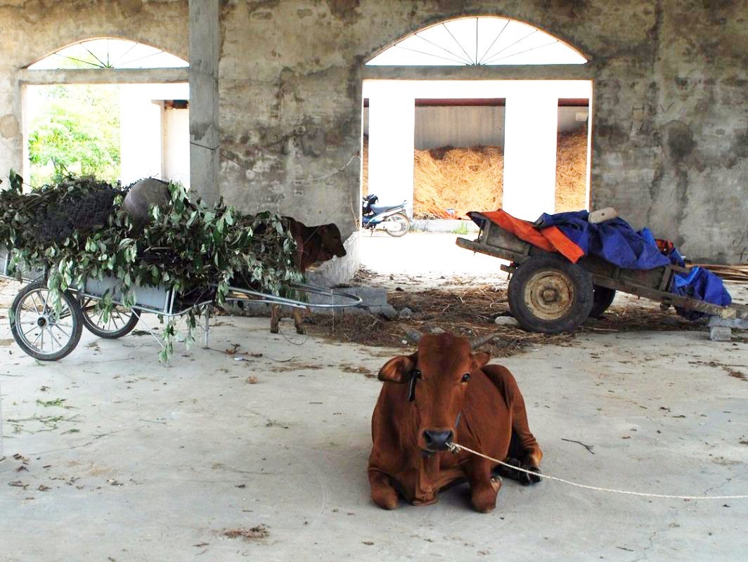 Trung tam thuong mai 14 ty hoang phe o huyen ngheo hinh anh