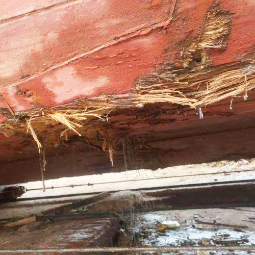 cuu tau ca cung 18 thuyen vien bi chim anh 2