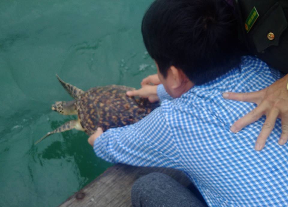 Tha doi moi quy hiem ve bien hinh anh