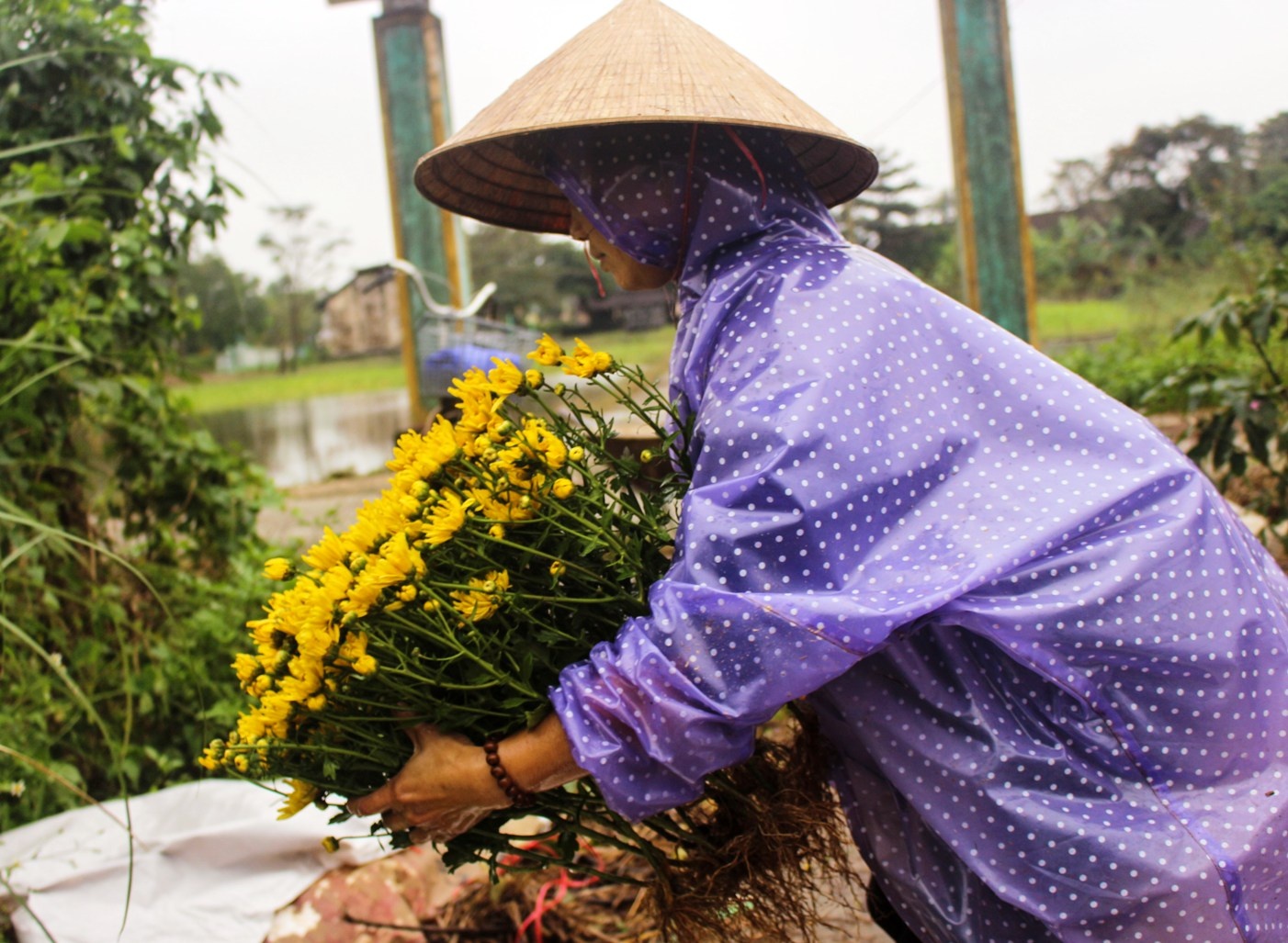 Lo hoa chet sau lu, nong dan nho ban thao mong go von hinh anh