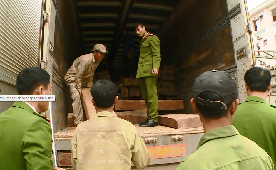 Nguy trang hon 50 m3 go dinh huong tren xe cho nong san hinh anh