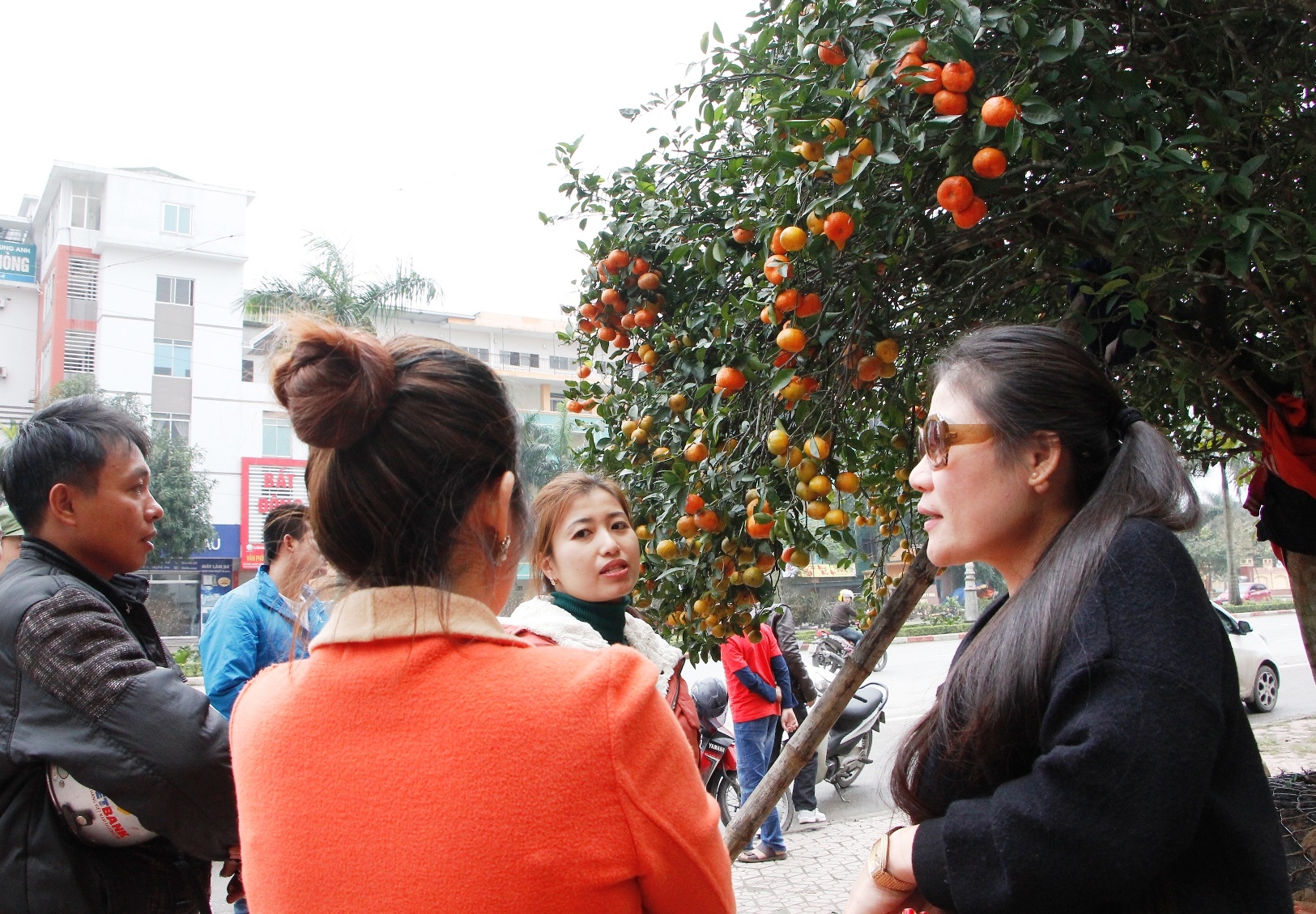 quyt co thu gia nua ty dong anh 2