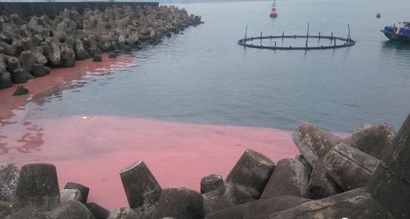 Thuc hu chuyen bien Vung Ang xuat hien dai nuoc mau do hinh anh