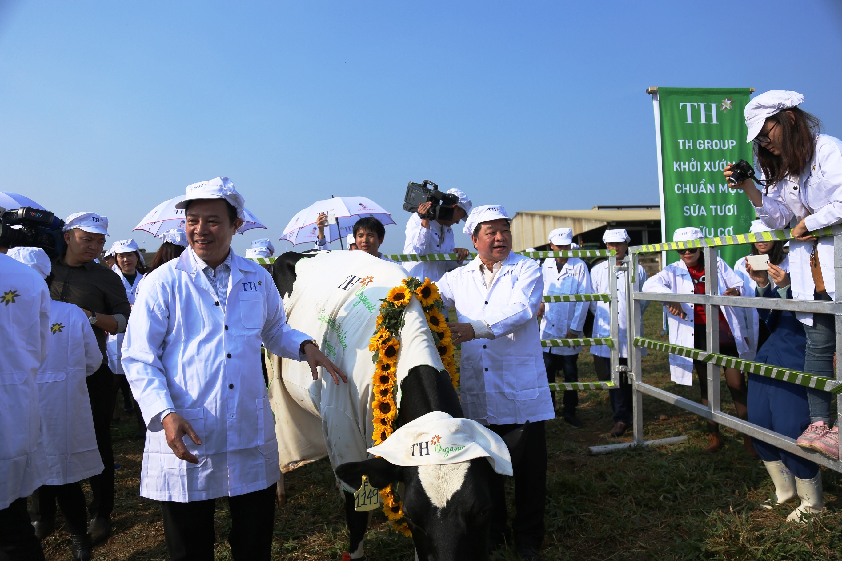 TH true Milk ra mat trang trai bo sua huu co anh 3