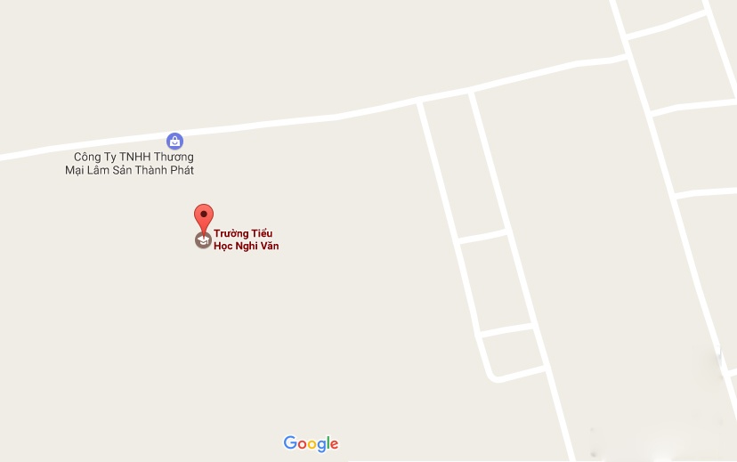 cây đổ đè trúng 3 học sinh ảnh 3 cay do de trung 3 hoc sinh anh 3