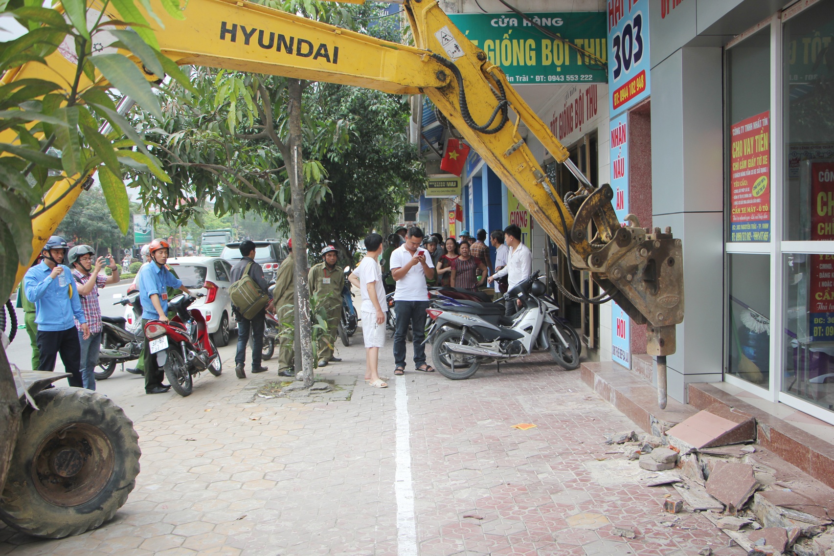 gianh lai via he o TP Vinh anh 1