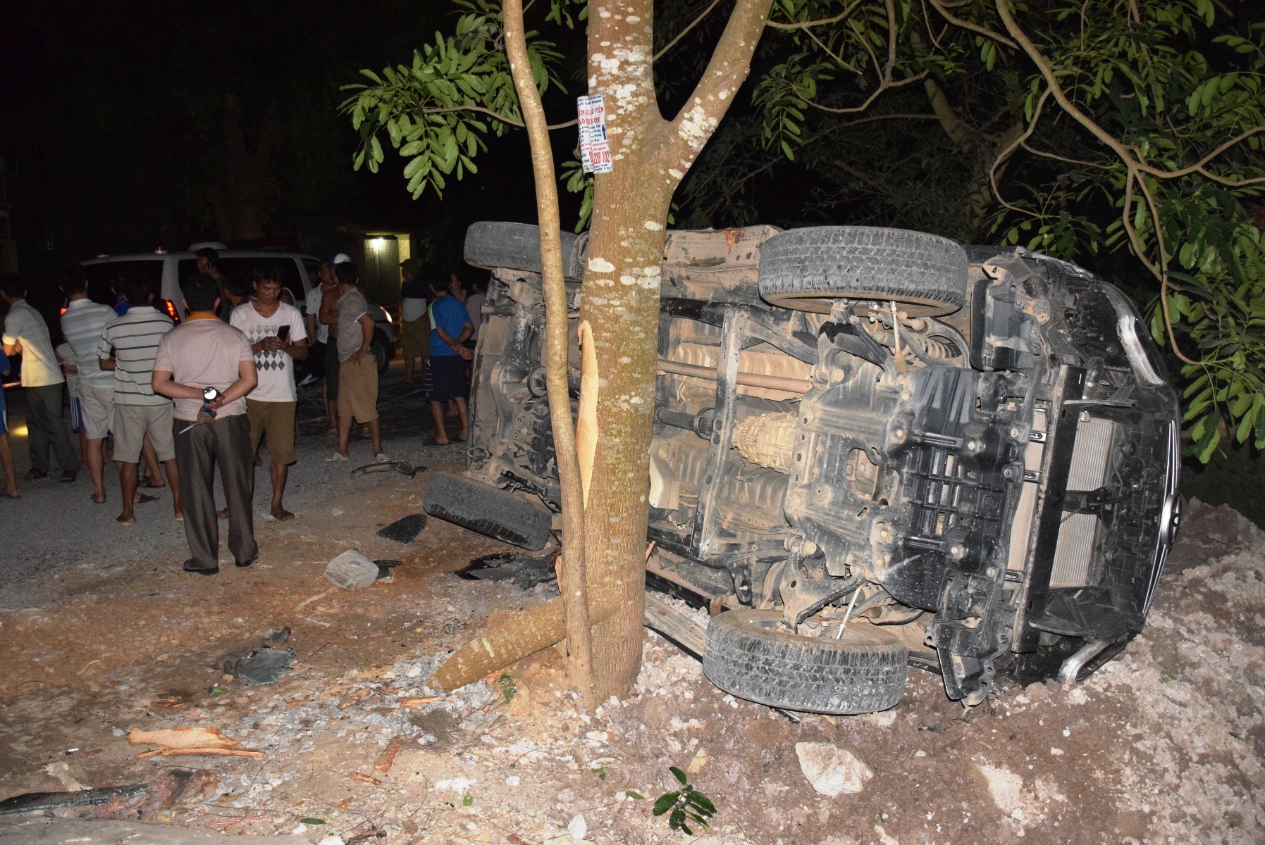 oto 7 cho dam vao goc cay anh 1