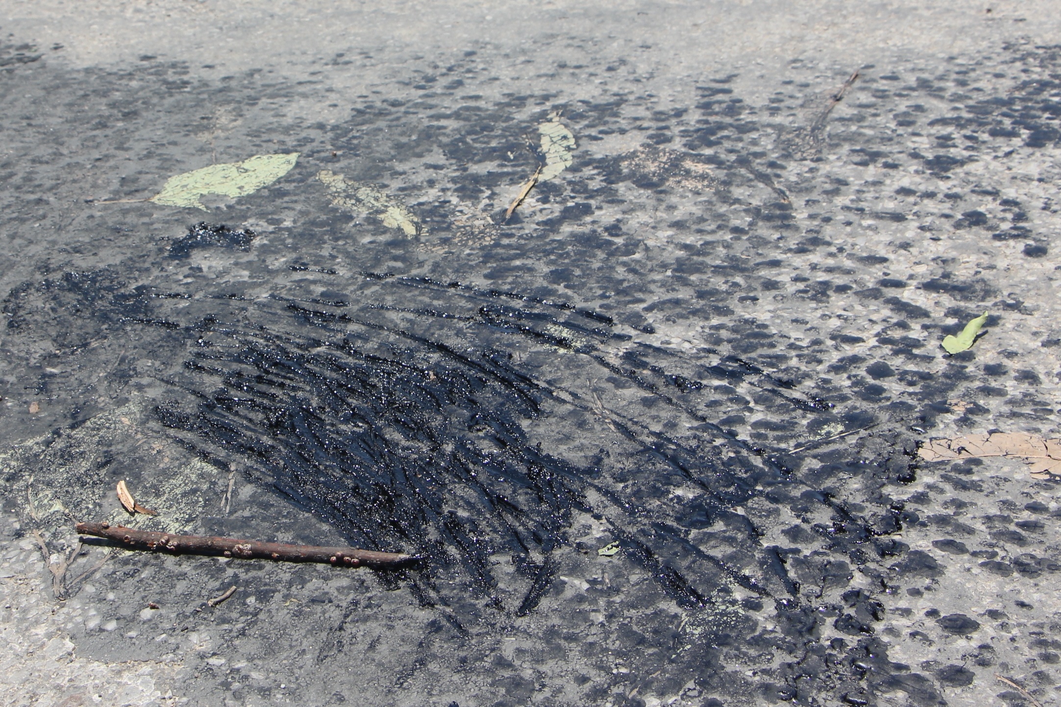 Nang nong khien duong o TP Vinh chay nhua hinh anh