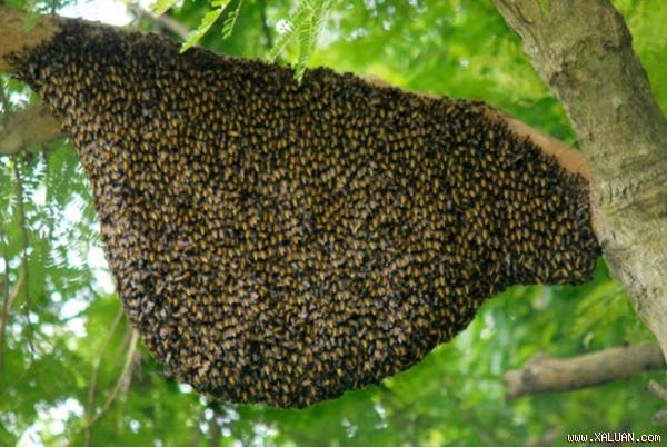 14 nguoi bi ong dot khi thap huong o nghia trang hinh anh