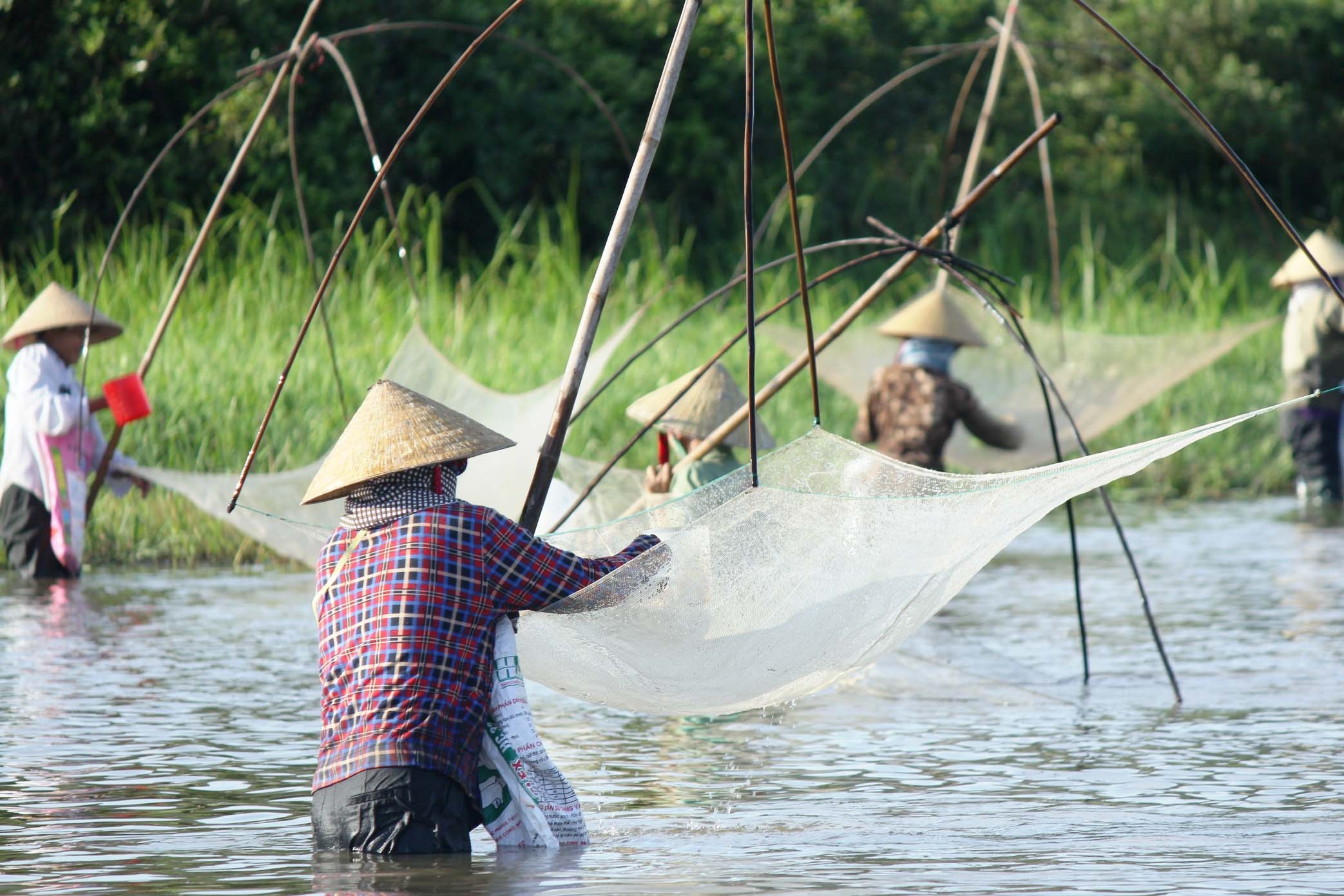 le hoi danh ca Dong Hoa anh 2
