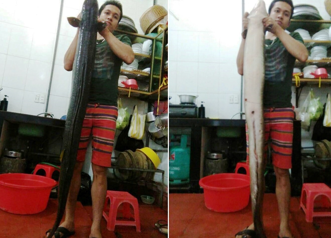 đánh bắt được cá lệch nặng 15 kg ảnh 1 danh bat duoc ca lech nang 15 kg anh 1