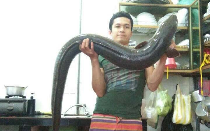 Ca lech hiem gap dai 1,7 met hinh anh