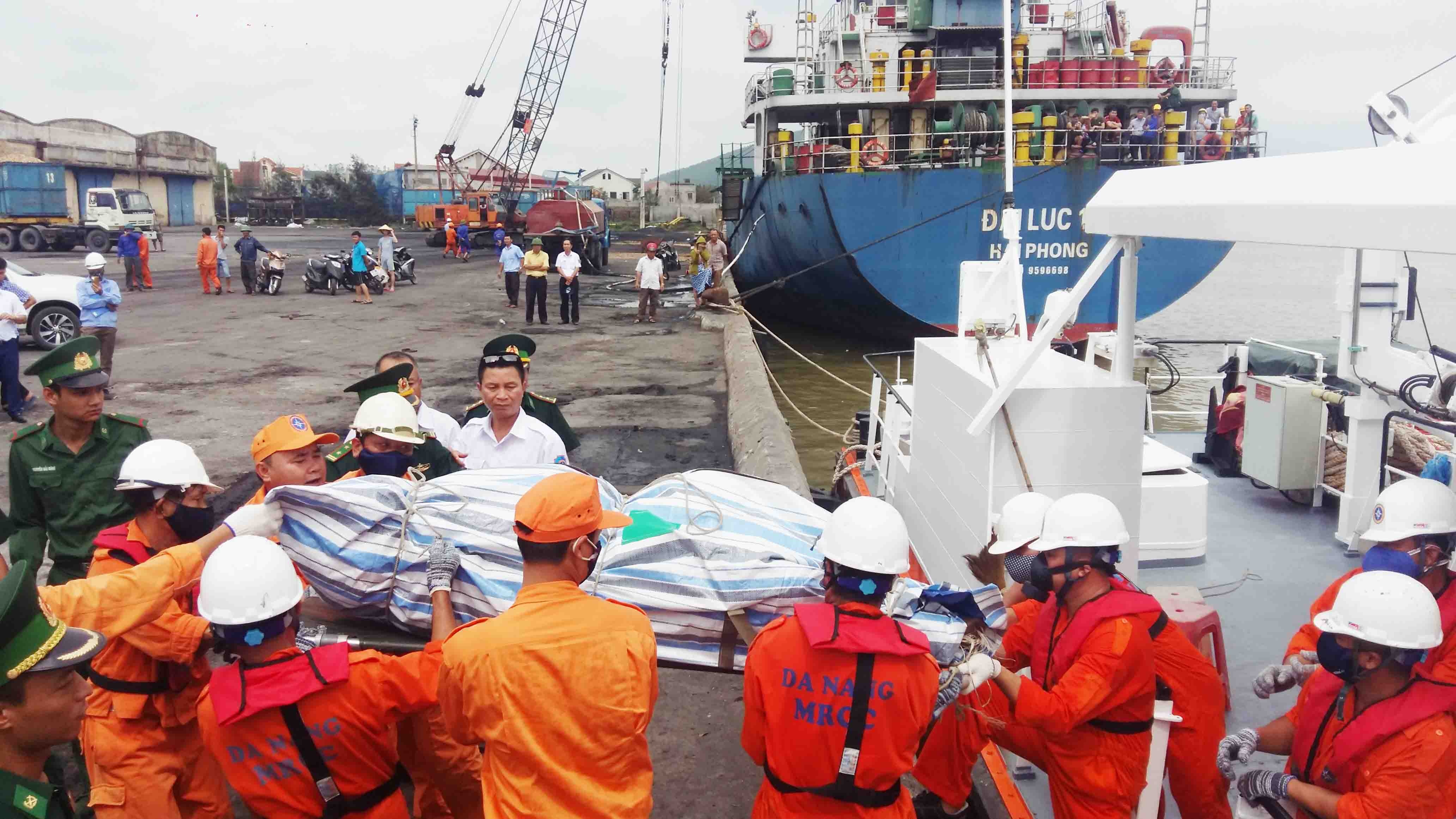 chim tau o Nghe An anh 1