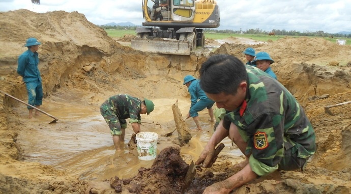 Bom bi con nguyen kip no duoi ruong lua hinh anh