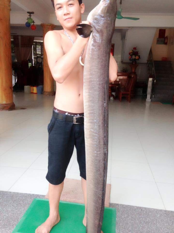 cá lệch mắc lưới ngư dân ảnh 1 ca lech mac luoi ngu dan anh 1