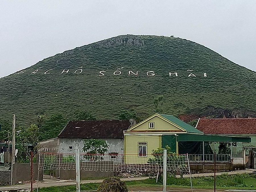 Chuyen ve but tich 'Bac Ho song mai' tren ru Nhon hinh anh