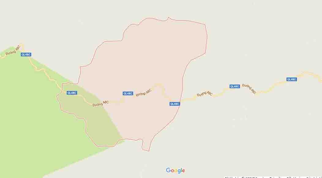 chặt phá rừng ảnh 3 chat pha rung anh 3