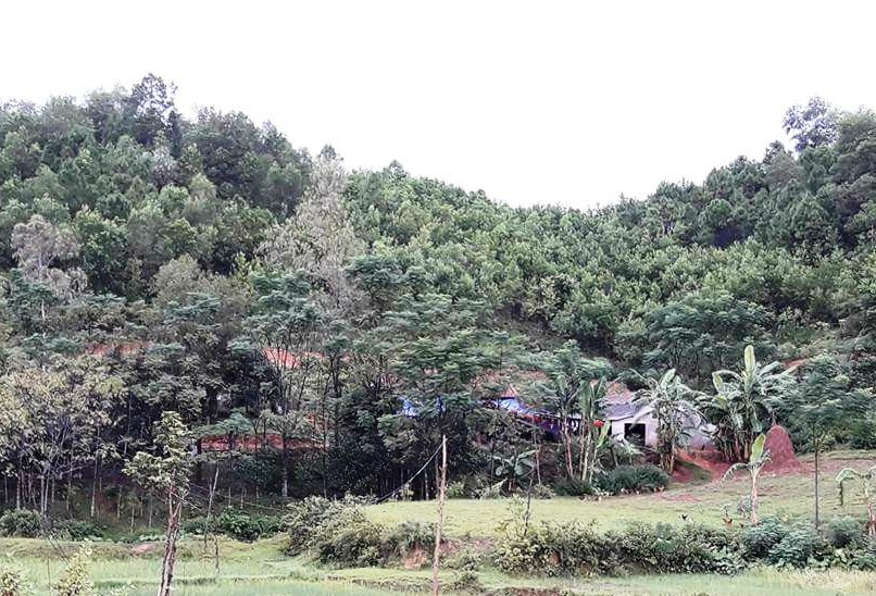 set danh tu vong anh 1