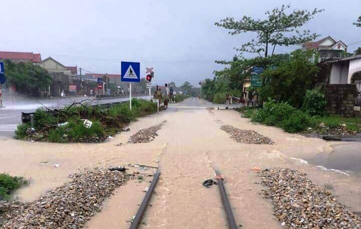 Mua lon o Nghe An anh 2