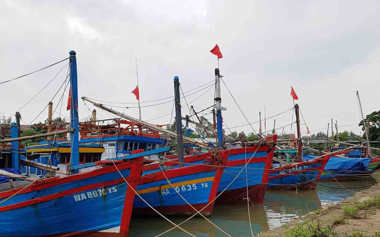 Lệnh cấm biển ảnh 1 Lenh cam bien anh 1