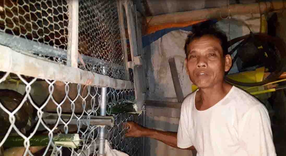 Nguoi dan mang gia suc, gia cam chay lu trong dem hinh anh