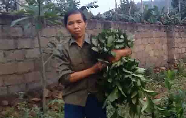 Them co giao mam non o Nghe An nhan luong huu 1,3 trieu dong/thang hinh anh