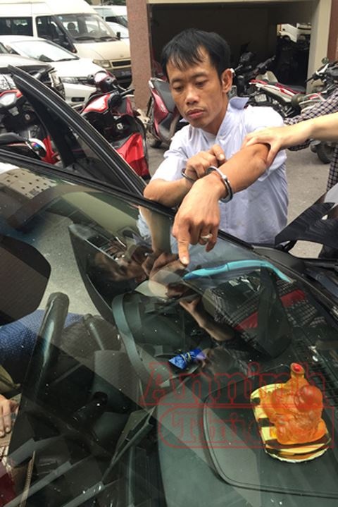 cất giấu ma túy ảnh 1 cat giau ma tuy anh 1