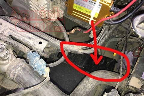 cất giấu ma túy ảnh 2 cat giau ma tuy anh 2