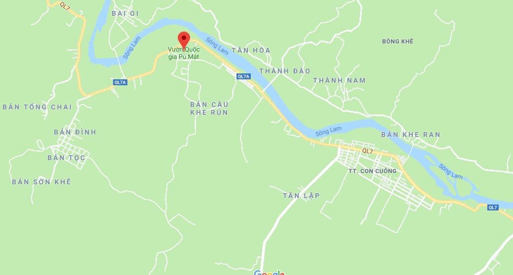 Nu sinh 17 tuoi bi nguoi yeu sat hai anh 6