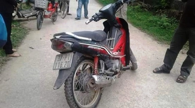 cẩu tặc sa lưới ảnh 2 cau tac sa luoi anh 2