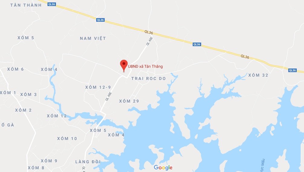 dứa bị thối nõn lá ảnh 3 dua bi thoi non la anh 3