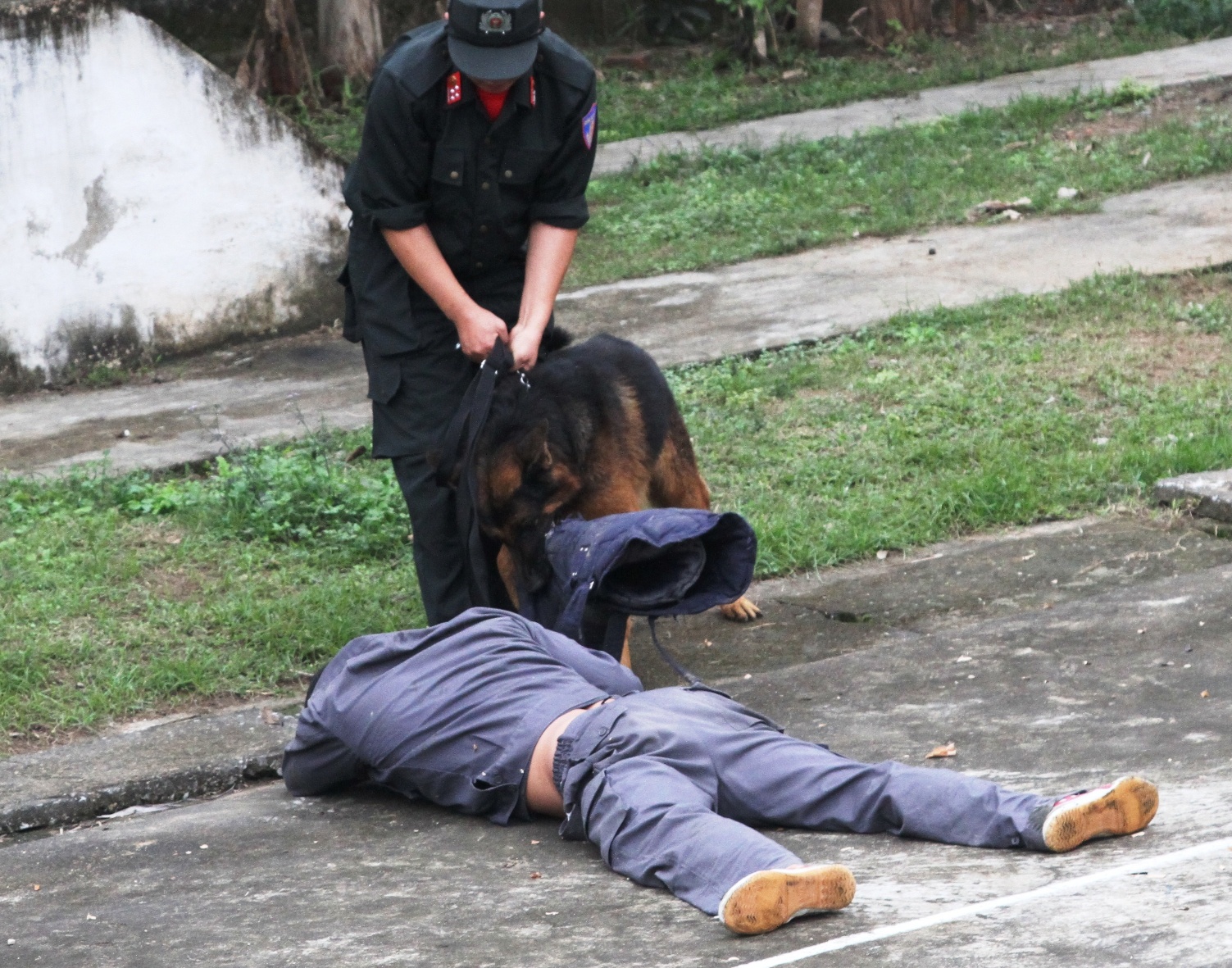 Nhung man bieu dien cua cho nghiep vu tai Nghe An hinh anh