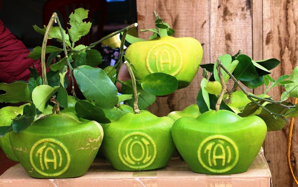 Buoi hinh tai loc anh 1