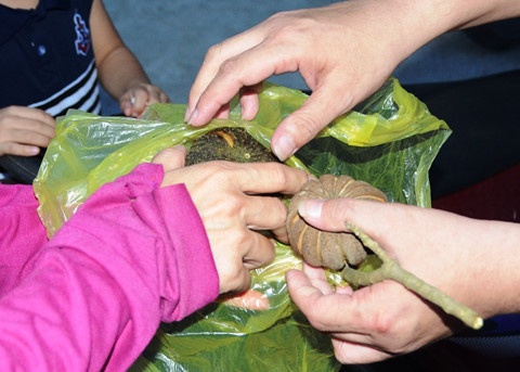 An hat qua ngo dong, 7 hoc sinh bi ngo doc hinh anh