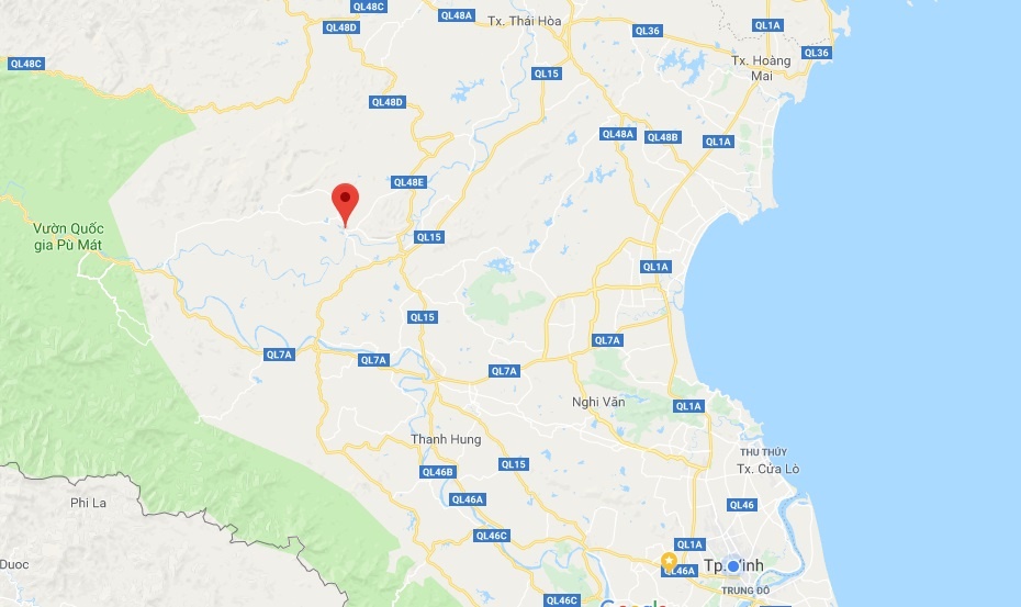 quả ngô đồng ảnh 2 qua ngo dong anh 2