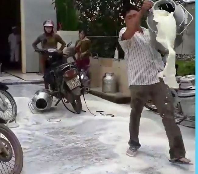 dân đổ sữa ra đường vì thu mua giá thấp ảnh 1 dan do sua ra duong vi thu mua gia thap anh 1