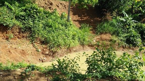 Nhay xuong ao cuu chi, hai em nho cung bi duoi nuoc hinh anh