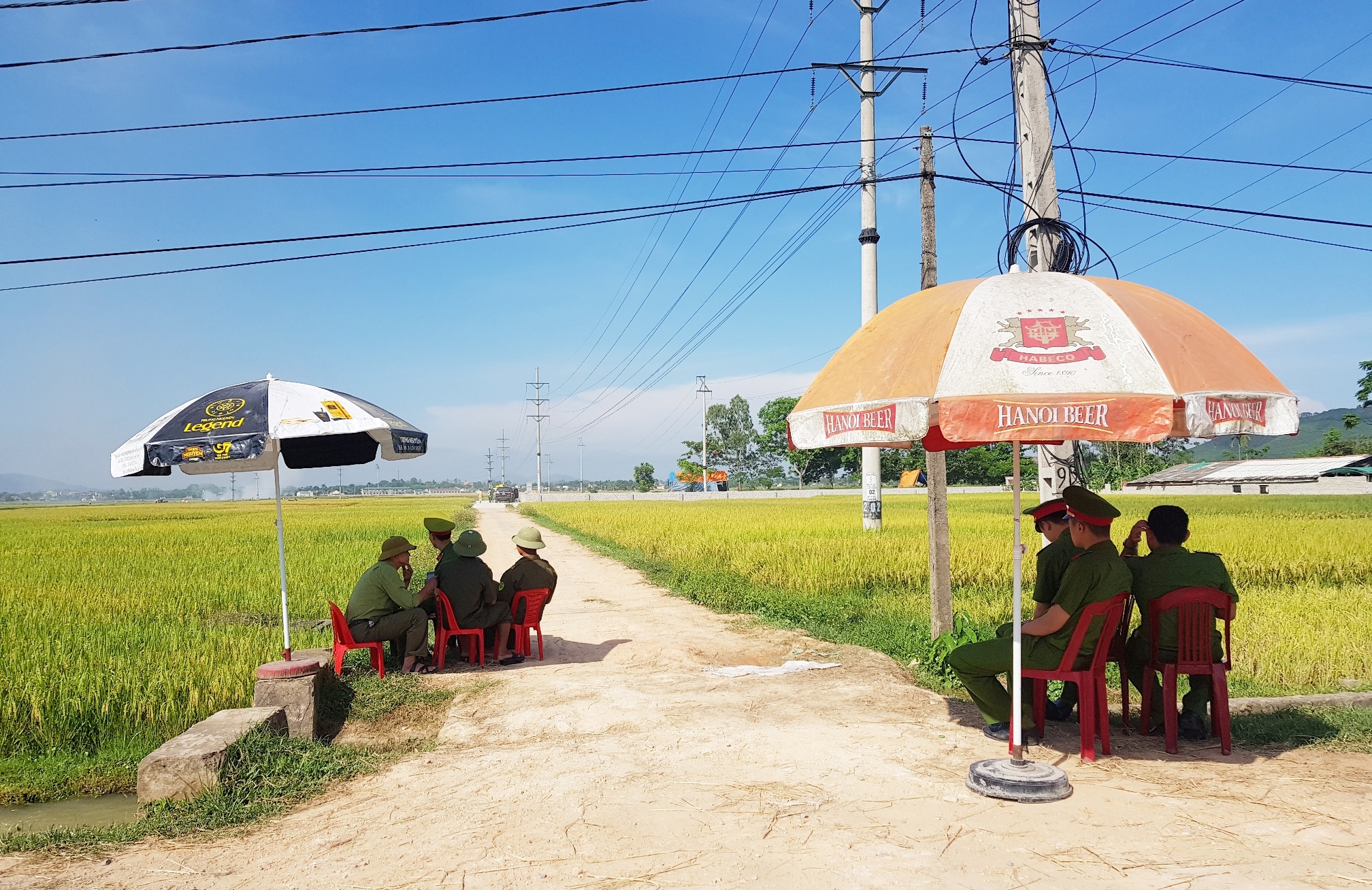 Khai quật tử thi ảnh 1 Khai quat tu thi anh 1