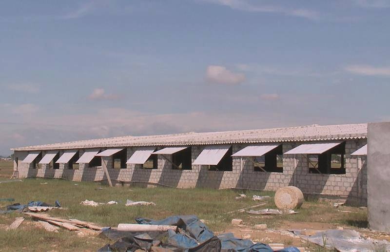 Ke xau dot nhap trang trai dam chet 12 con lon hinh anh