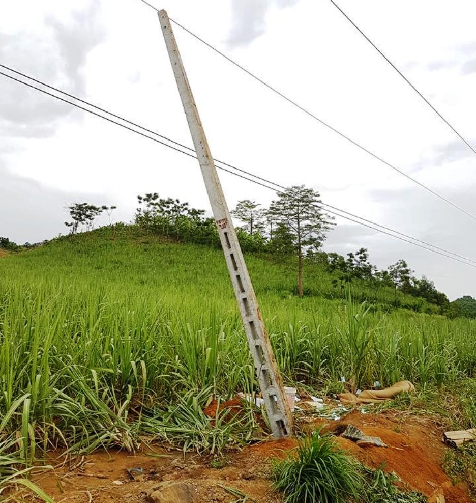 dien giat tu vong anh 1