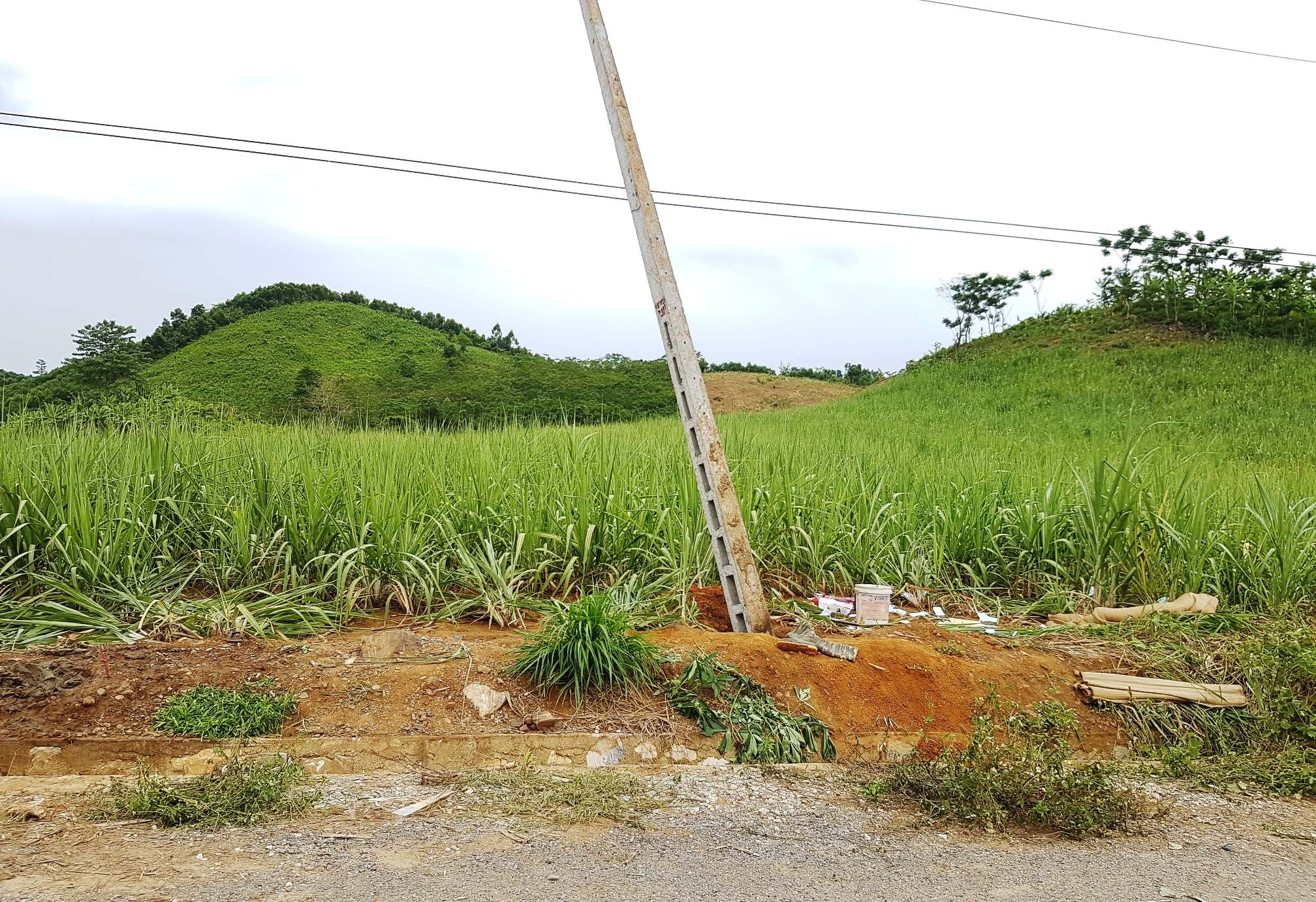 dien giat tu vong anh 1