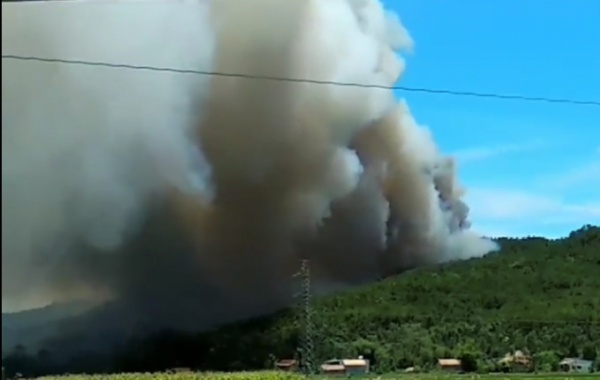 Gan 1.000 nguoi chua chay rung thong giua trua hinh anh