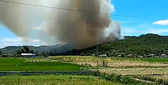 cháy rừng thông ảnh 1 chay rung thong anh 1