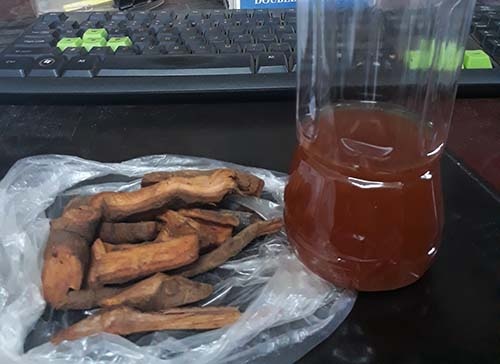 rượu ngâm cây lá ngón ảnh 1 ruou ngam cay la ngon anh 1