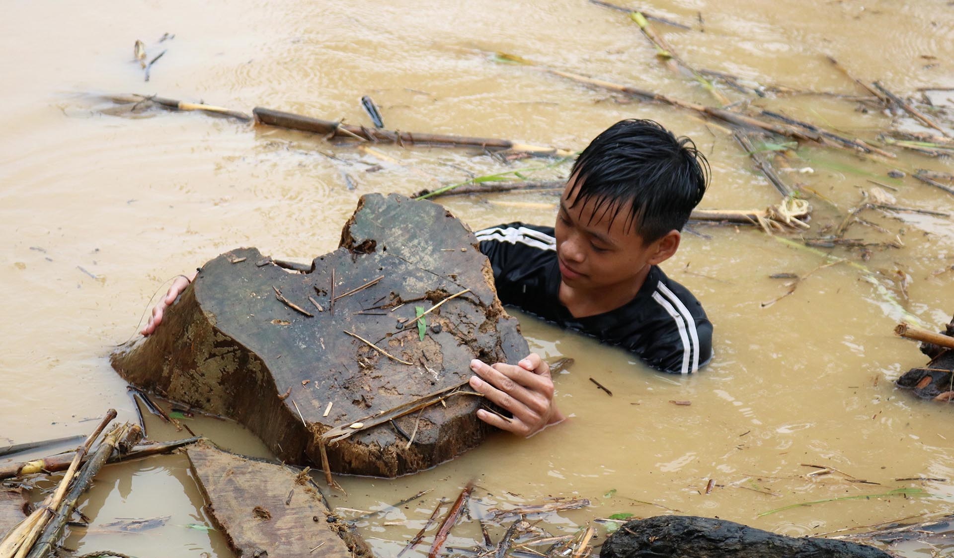 Lieu minh vot cui giua dong nuoc lu hinh anh