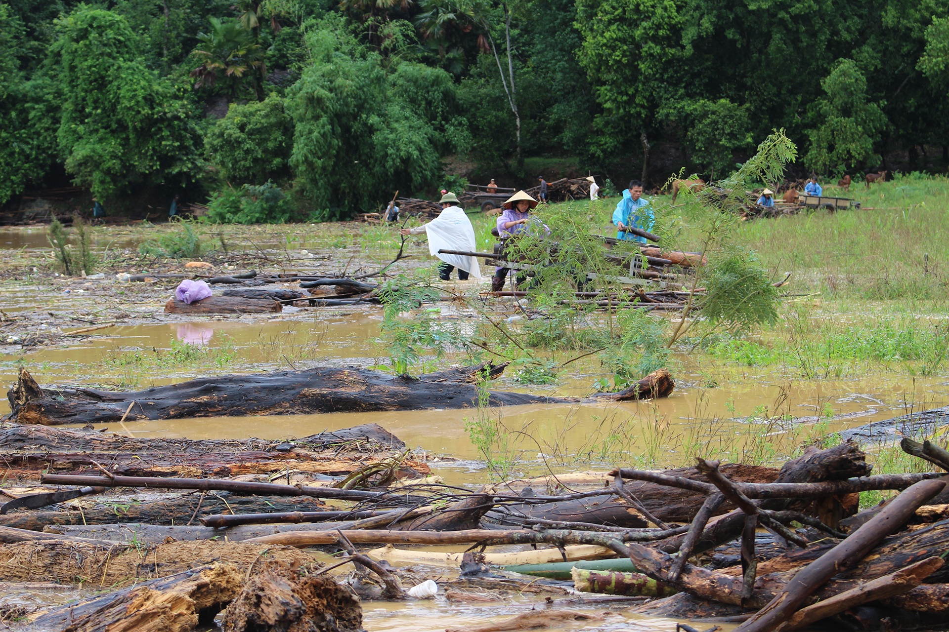 vot cui tren song Lam anh 1