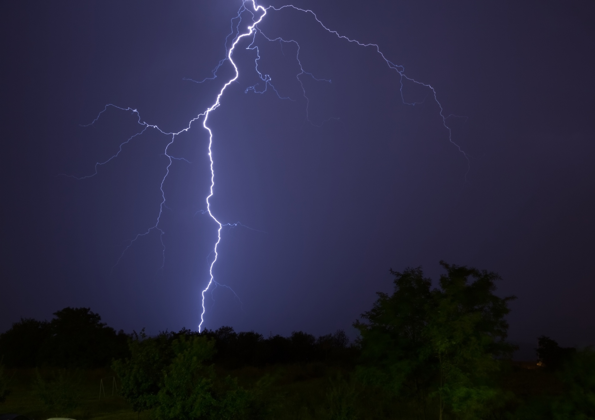 Be gai 13 tuoi bi set danh tu vong khi chan trau hinh anh