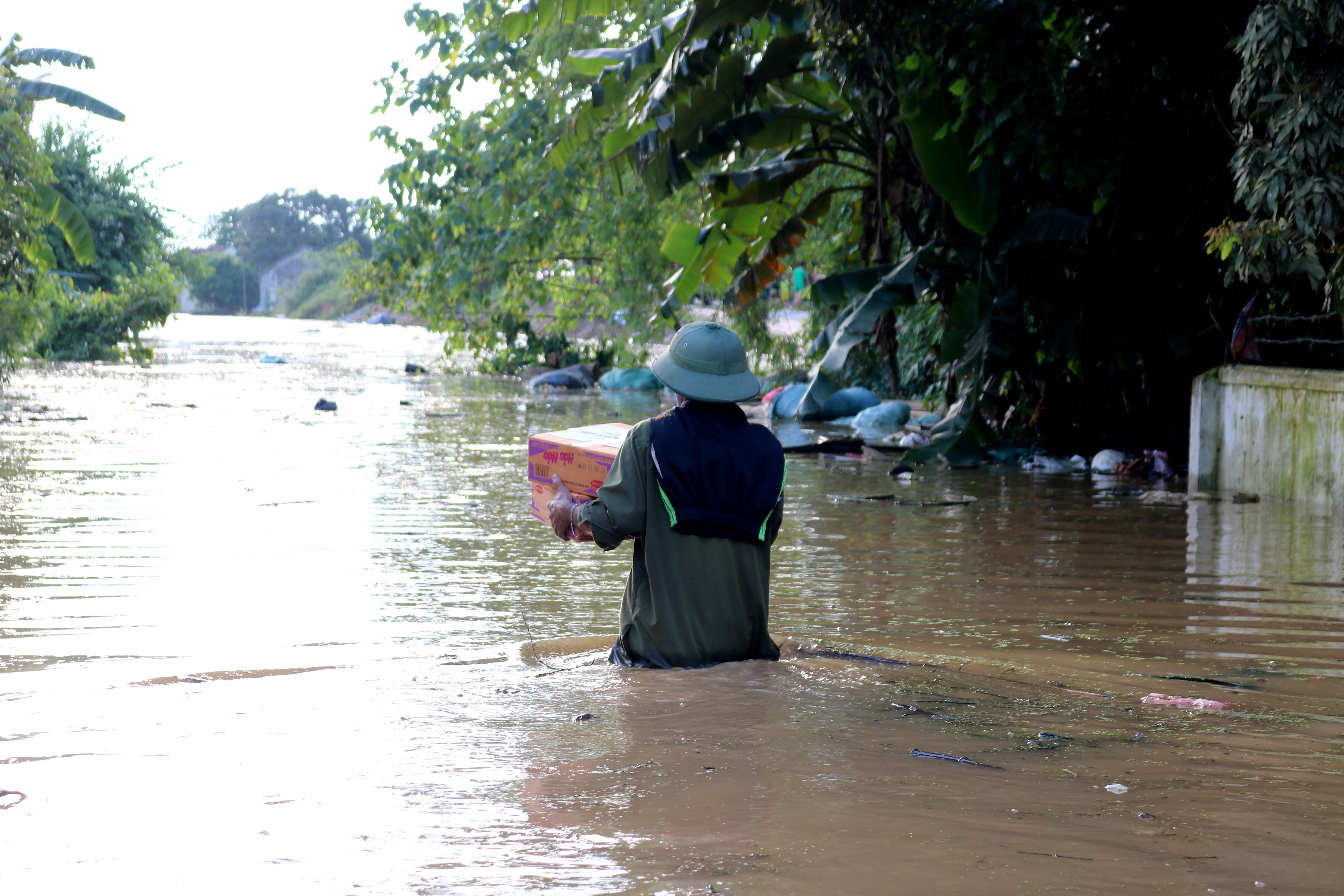 Lu lut o Nghe An anh 13