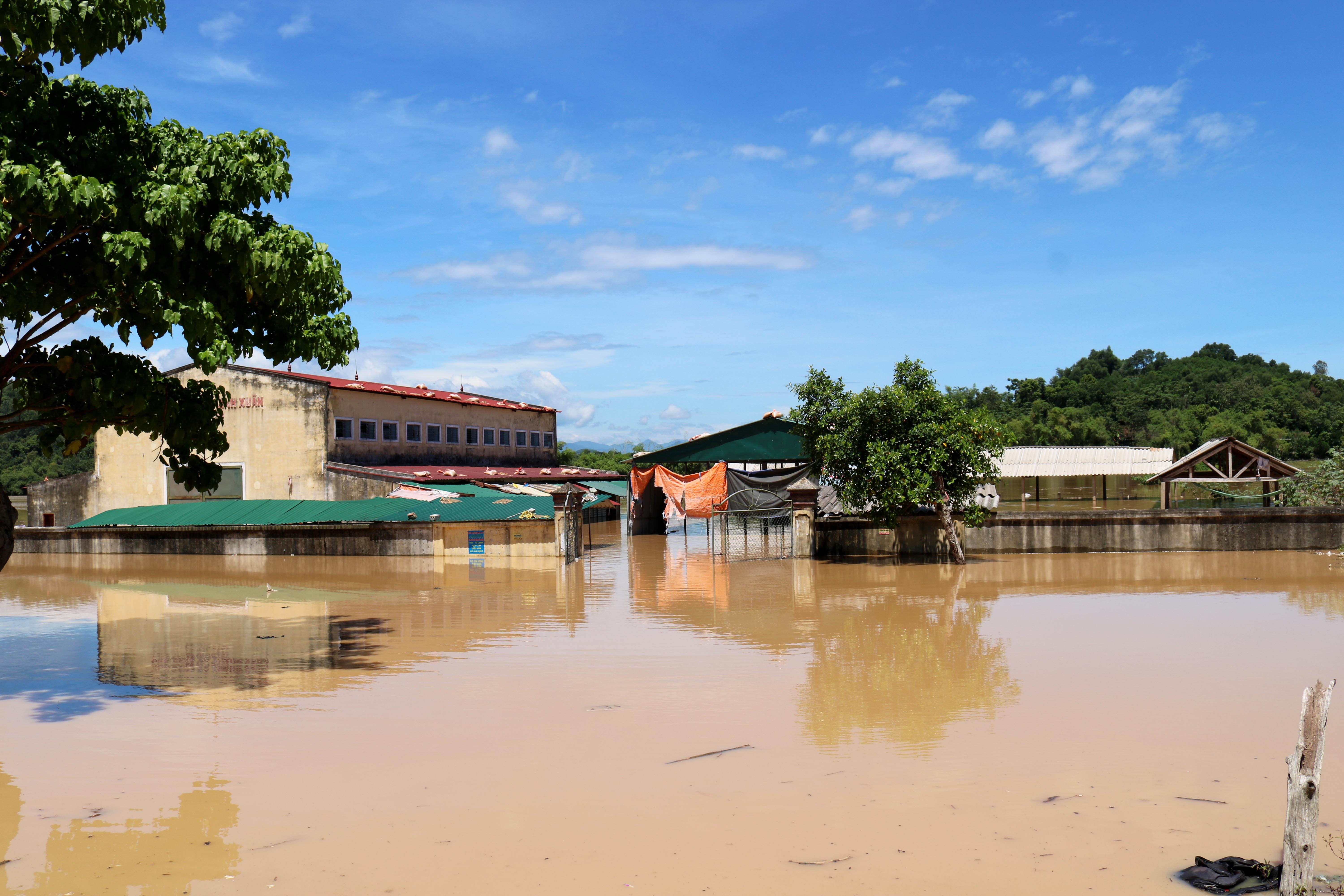 Lu lut o Nghe An anh 1