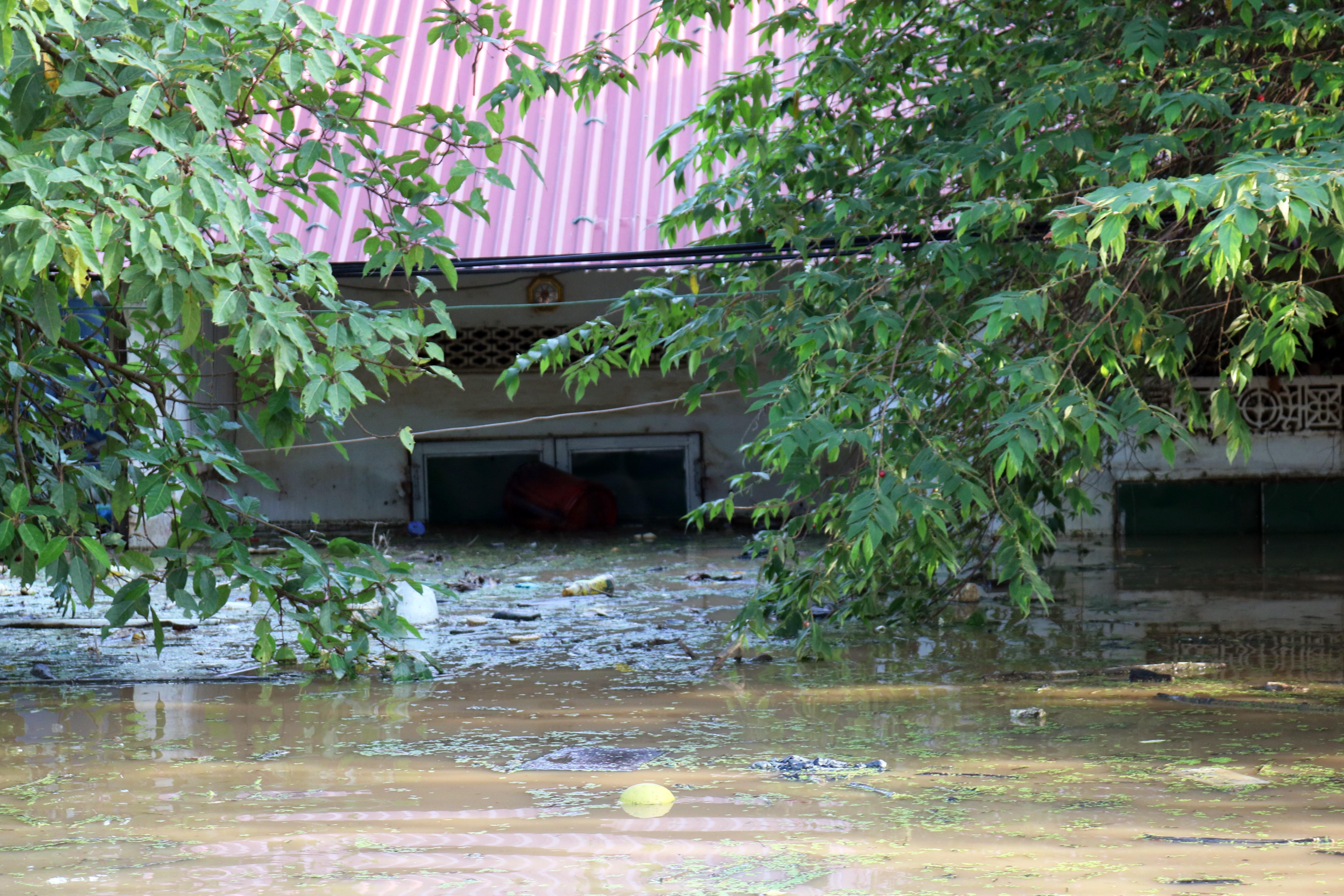 Lu lut o Nghe An anh 3